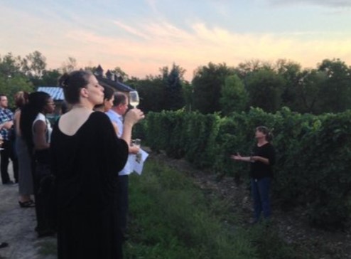 Group pf people tasting wine in a vineyard