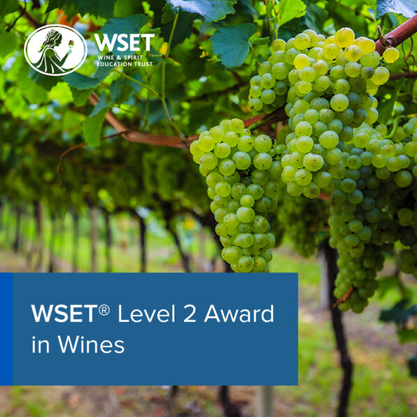 White wine grapes on a vine with the text WSET Level 2 Award in Wines