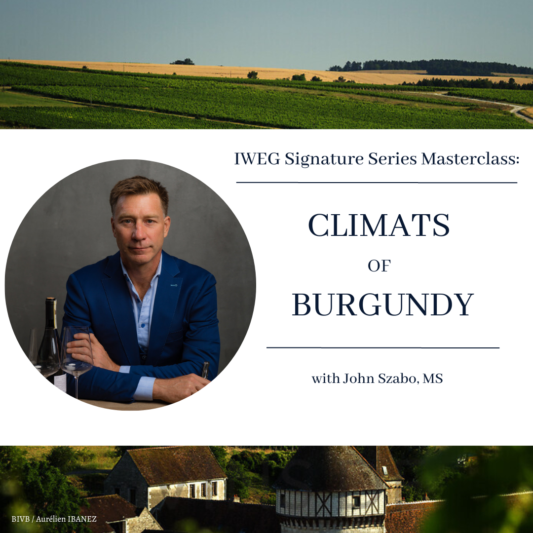 Image of a Burgundy vineyard in the background with a headshot of a man in navy blue suit. The text reads IWEG signature series masterclass: Climats of Burgundy with John Szabo, MS.