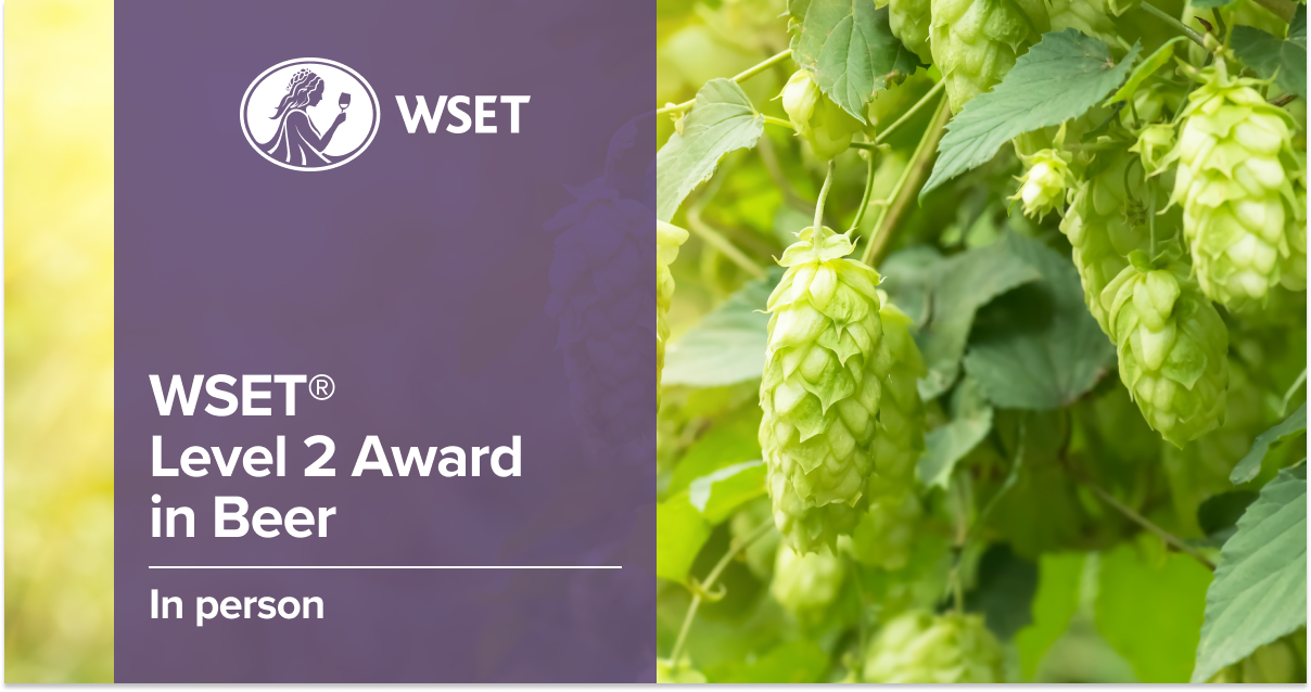 Close up of hops growing on the vine. The text says WSET Level 2 Award in Beer, in-person.