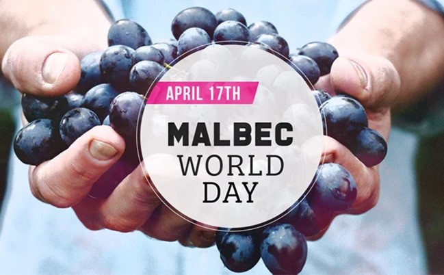 Close up of a hand whole  red grapes with the text April 17th Malbec World Day.